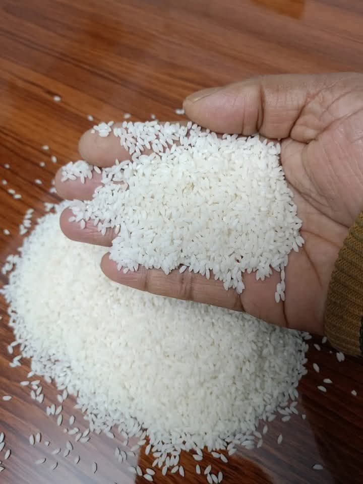 সুগন্ধি চিনিগুঁড়া চালের বৈশিষ্ট্য :