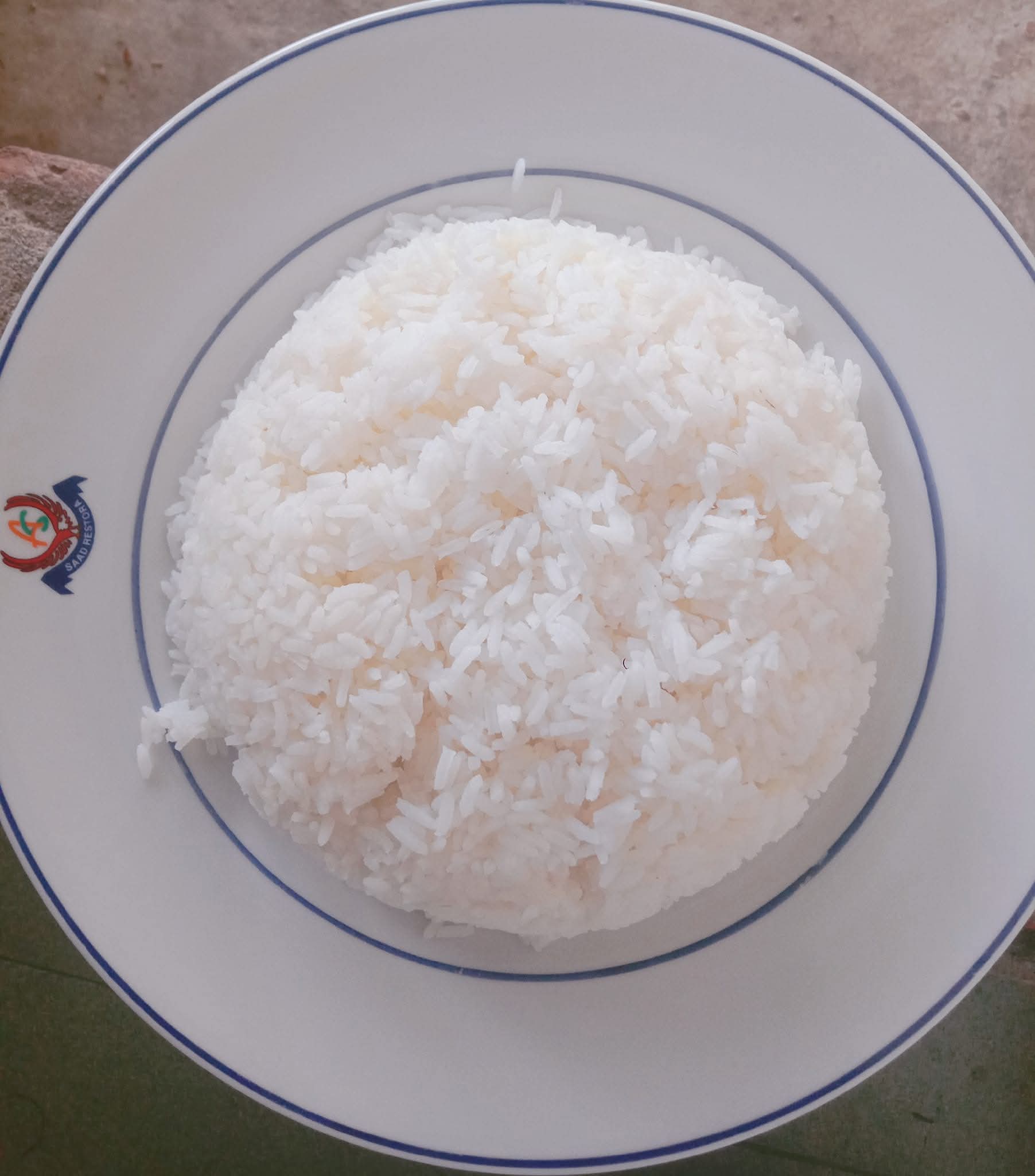 মধুভোগ নাজির চালের ভাত: