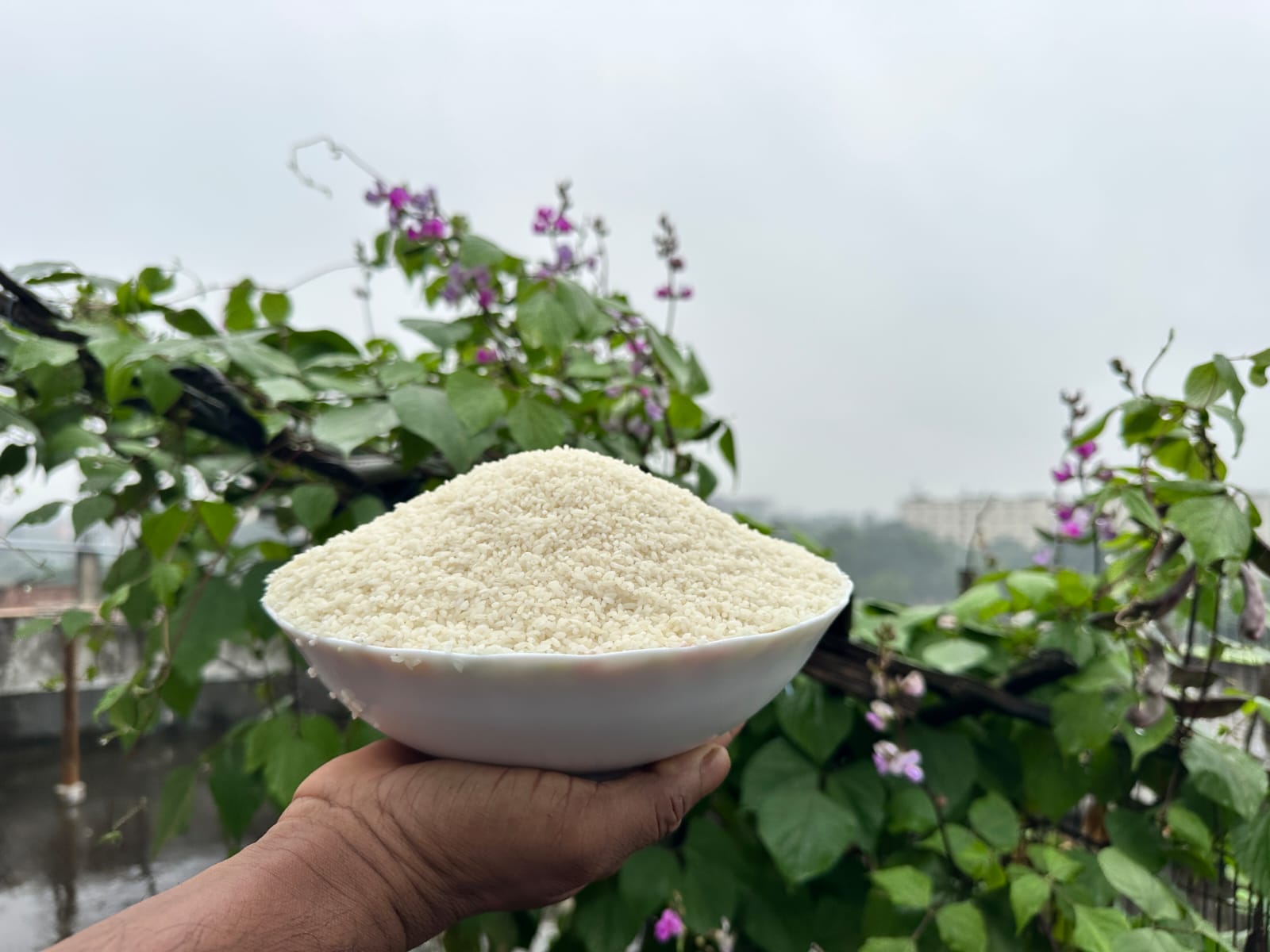 সুগন্ধি চিনিগুড়া পোলাও চাল